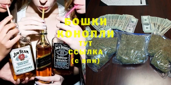 индика Михайлов