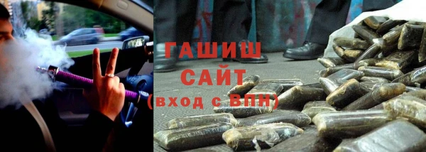 индика Михайлов