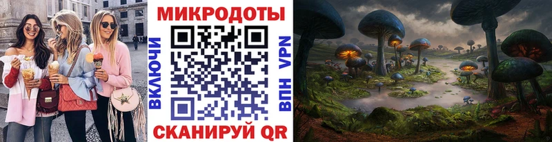 Галлюциногенные грибы Psilocybe Курлово
